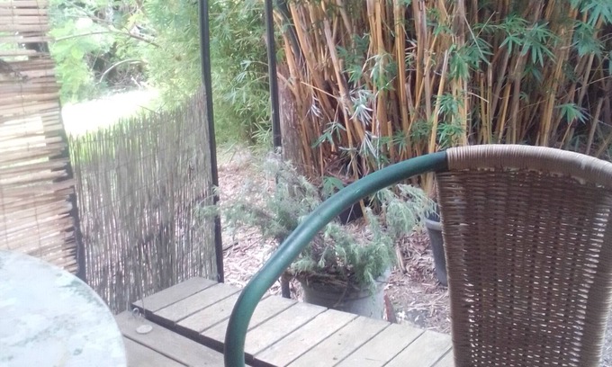 Blue Knob Apartamento | Escape to a beautiful, bushland setting in the rainforest. 5ks to village