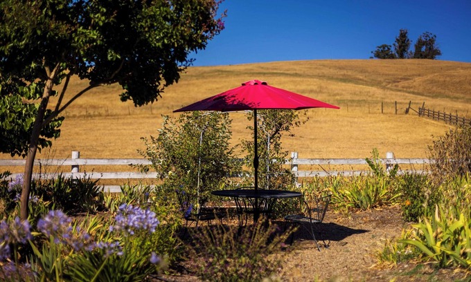 Petaluma Apartamento | Escape to a Charming 1 Bed Casita on a Sonoma Farm