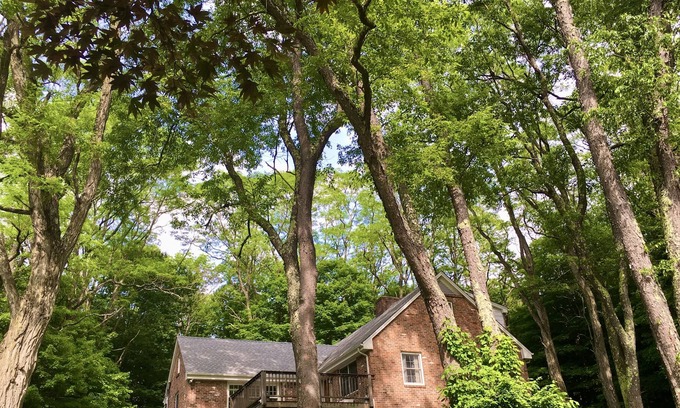 Canton Casa | Escape to a modern rustic retreat in the heart of nature!