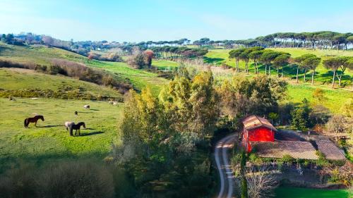 Cassia Casa | Escape to Comfort, Relax, and Love in Rome - Luxury Agriturismo 5 Suites