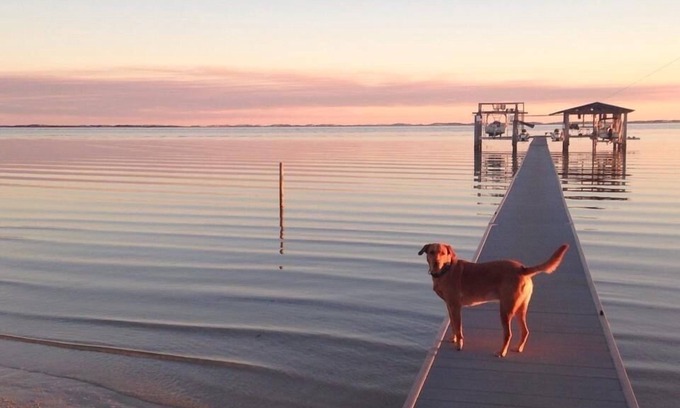 Ono Island Casa | Escape to Gulf Beach Getaway! (Pet friendly)