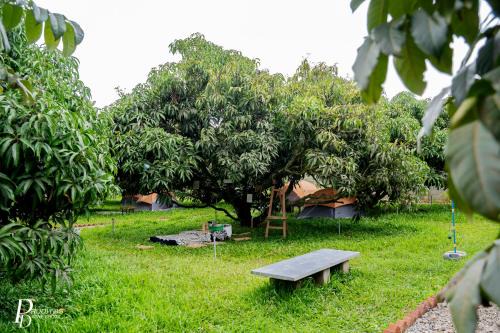 Denkanikota Otro | Escape to Nature at Mango Trails by Green Getaways