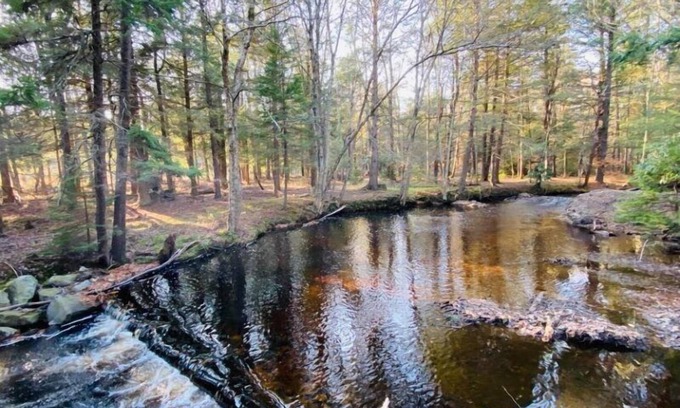Pocono Lake Cabina | Escape to Serenity: Monthly Cottage Rental by the Stream in Pocono Lake!
