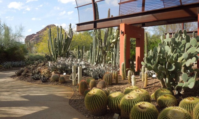 South Scottsdale Complejo | Escape to the Great Outdoors! 2 Serene Units, Minutes to Golf, Camelback Mtn.