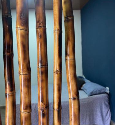 Amajari Apartamento | Espaço bambu