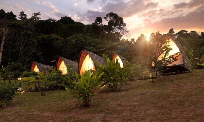 Naranjito Otro | Esquipulas Rainforest