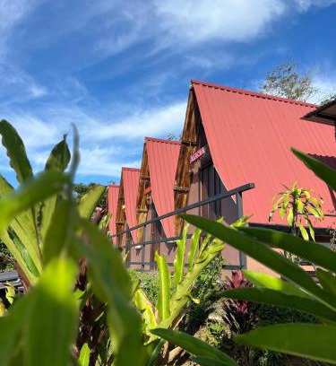 Pejibaye Hotel | Estrella verde Lodge