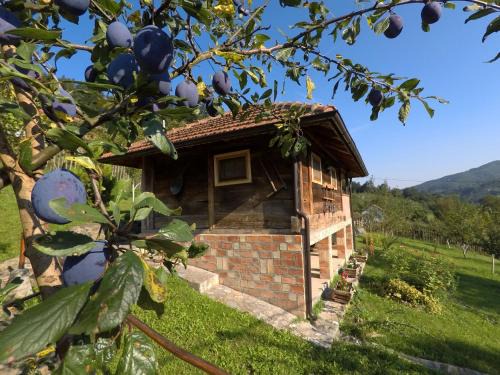 Central Serbia Casa | Ethno Village Bogut