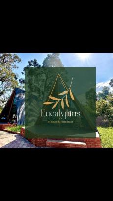 Chakvi Casa | Eucalyptus Cottages