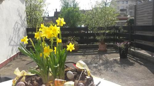 Ludwigshafen-Friesenheim Apartamento | Eulennest-lu