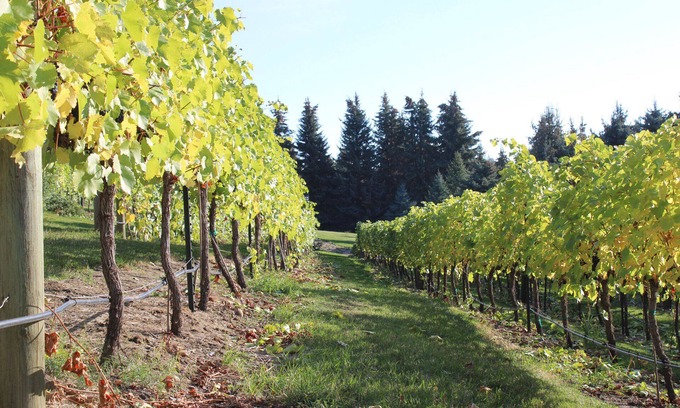 Bigfork Casa | EV Charger, Vineyard, Championship Golf Course all with a Beautiful Water View!