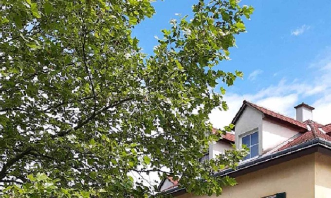 Waidhofen An Der Ybbs Apartamento | Eva's City Apartement