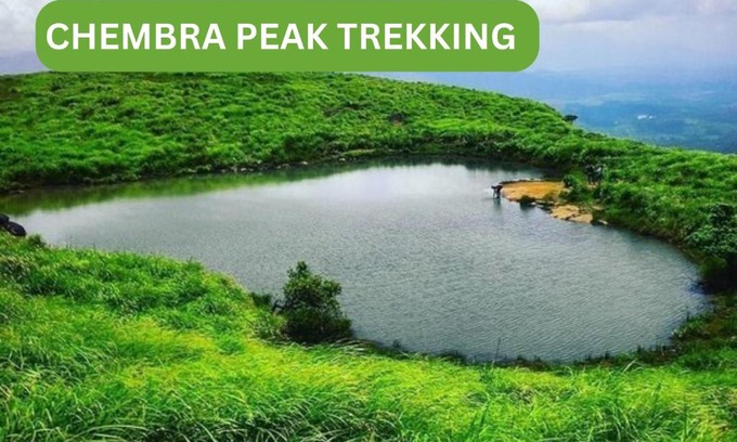 Sulthan Bathery Casa | Evergreen Wayanad Trekking