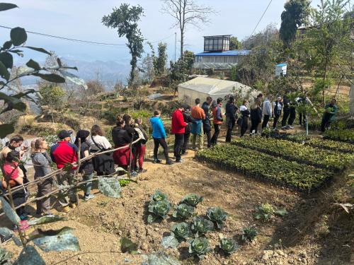 Changunarayan Casa | EVON- EcoHimal Agro-Forestry Academy