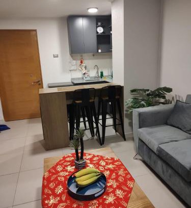 Downtown Santiago Apartamento | Excelente departamento en Santiago
