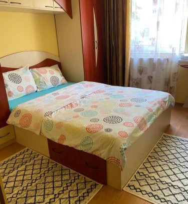 Baia Mare Apartamento | Exclusive HORTENSIEI