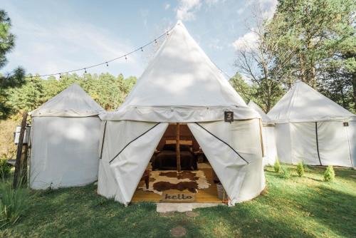 Tapalpa Otro | Exclusivo glamping en el bosque