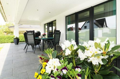 Molschow Casa | Exklusives Ferienhaus Lady Lounge mit WLAN und Kamin