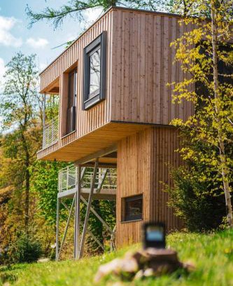 Ilsenburg Casa | Experience Nature In A Loft At Treetop Height