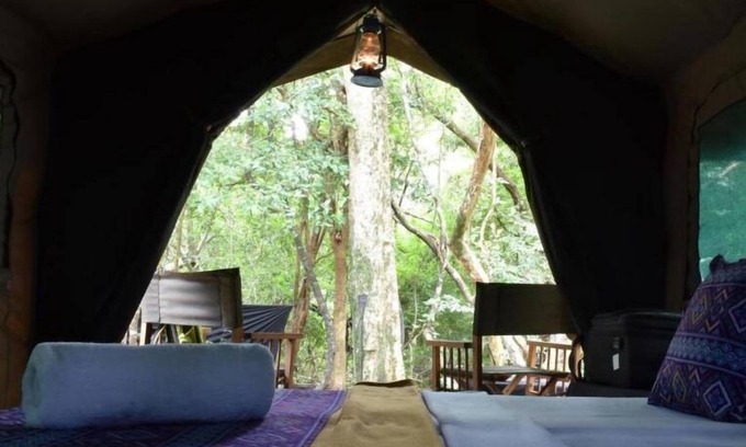 Wilgamuwa Otro | Explorer by Eco Team - Wasgamuwa National Park