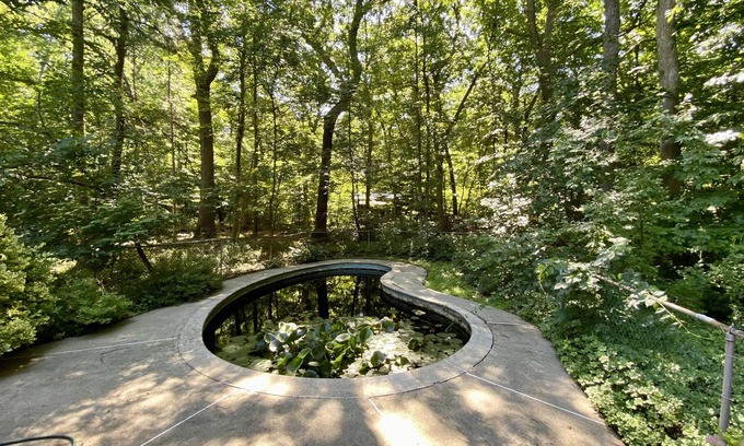 Natick Casa | Exquisite Contemporary Home Overlooking Woods