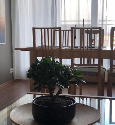 Arbær Apartamento | Eyjasol Apartments