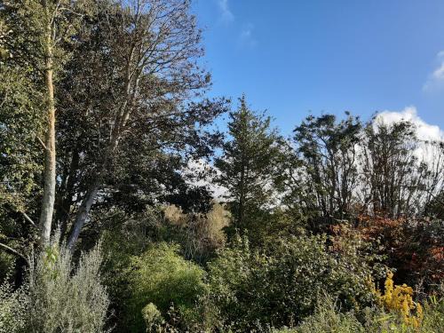 Lampaul-Plouarzel Apartamento | F2 Centre Bourg à 10min GR34 et plages