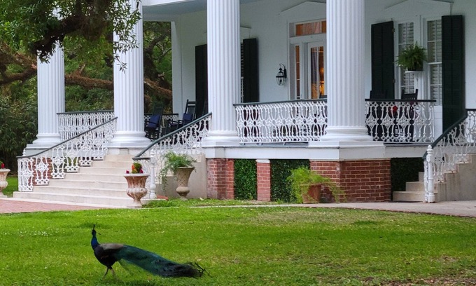 Franklin Cama Y Desayuno | Fairfax Bed and Breakfast