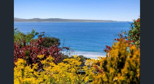 Lorne Casa | Fairview Central With A View