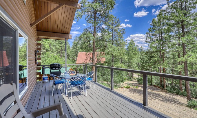 San Juan River Village Casa | San Juan Cabin: Cozy Mountain Getaway, Fire Pit, Mtn Views, 10 Min to Downtown, Close to Wolf Creek!