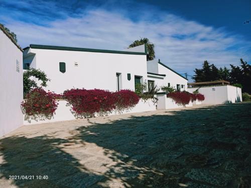 Conil de la Frontera Chalet De Esquí | Falsa Pimienta - Sólo Familias y Parejas