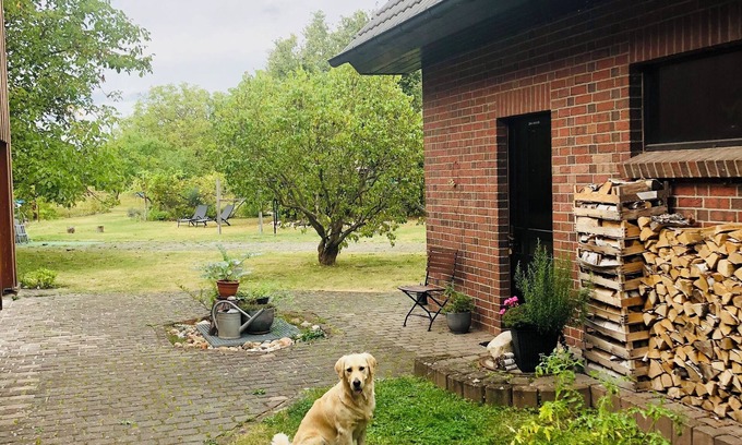 Doberlug-Kirchhain Apartamento | Familienfreundliche Fewo mit Großem Garten. Hunde Willkommen