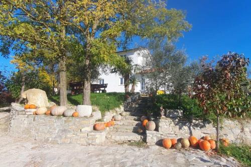 Buzet Casa | Family friendly house with a swimming pool Juradi, Central Istria - Sredisnja Istra - 24271