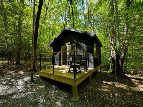 Balsam Grove Otro | Family Glamping Cabin-Bed and Bear at Valley Bear Farms Resort