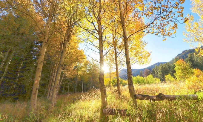 Lake George Alquiler De RV | Family Glamping Escape 2 Queens + Twin Bed