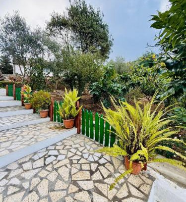 ‘Ayn ad Darahim Casa | Family House Ain Draham