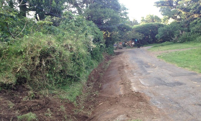 Concepción Alquiler De RV | farm in heredia with tons of forest and great hikes