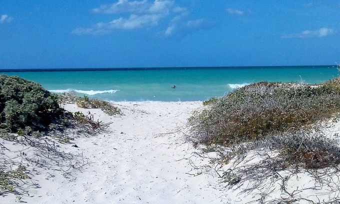 Panabá Otro | Agroturismo cerca de San Felipe, Yucatan