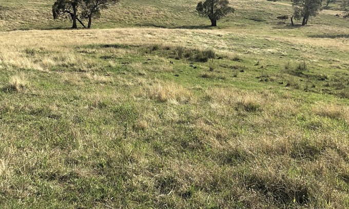 Adaminaby Otro | Farm Stay in the Snowy Mountains