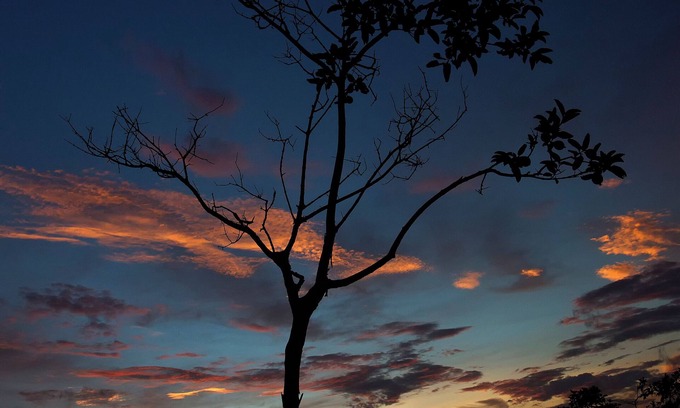 Pan de Azucar Otro | Farmstay en Rancho Montecito