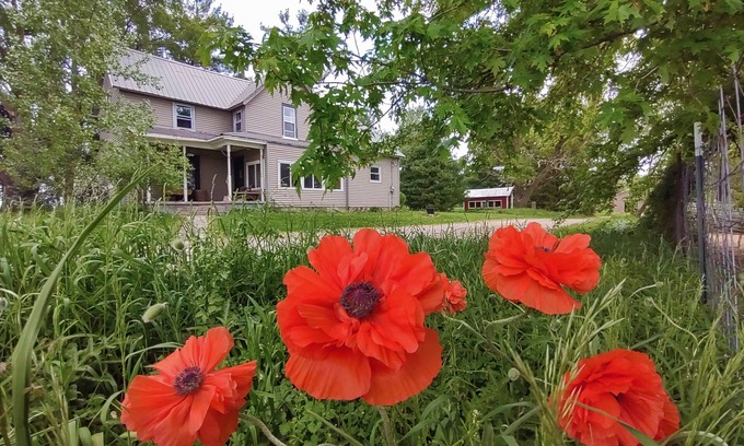 Rockfield Otro | Farm to Folklore - Fairytale Farmhouse