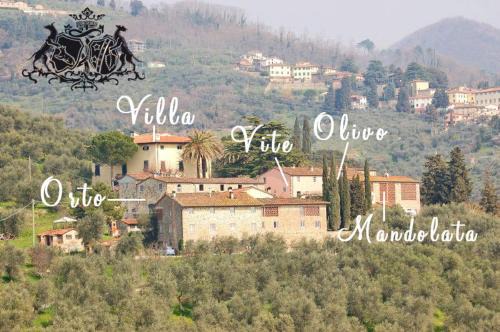 Capannori Casa | Fattoria di Fubbiano