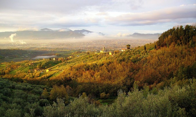Petrognano Otro | Fattoria di Petrognano, tu habitación B & B 2