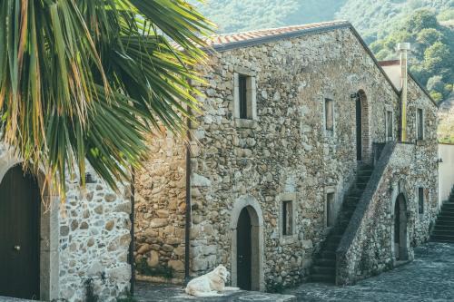 Naso Casa | Fattoria San Pio