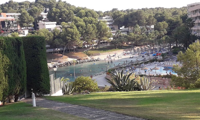 Cala Vinas Apartamento | Favorite place in Mallorca, garden saltwater pool and direct sea access