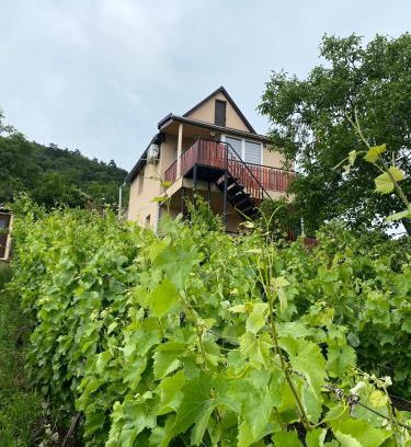 Satoraljaujhely Apartamento | Fehér Szőlő Vendégház