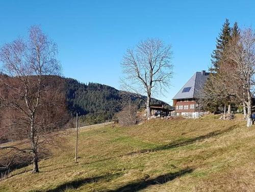 Triberg im Schwarzwald Apartamento | Feißesberghof