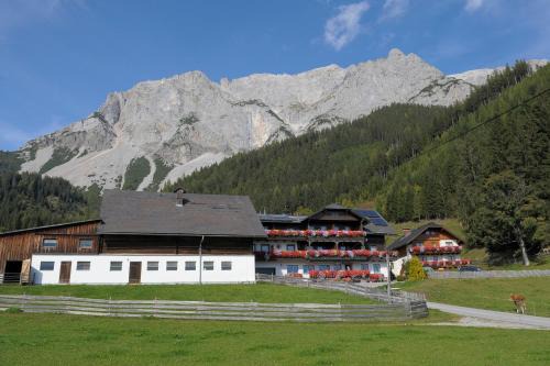 Ramsau am Dachstein Cama Y Desayuno | Feichtlehnerhof
