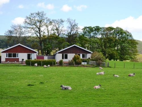 Pooley Bridge Casa | Fell Croft