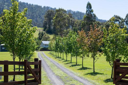 Kangaroo Valley Casa | Ferdous - A Peaceful Hideaway